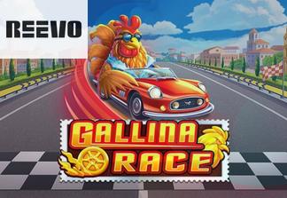 Gallina Race